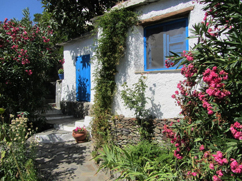 Ferreirola Sierra Y Mar B&B 객실 사진