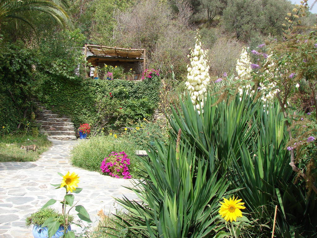 Ferreirola Sierra Y Mar B&B 외부 사진