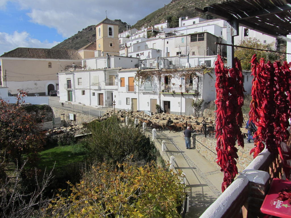 Ferreirola Sierra Y Mar B&B 외부 사진