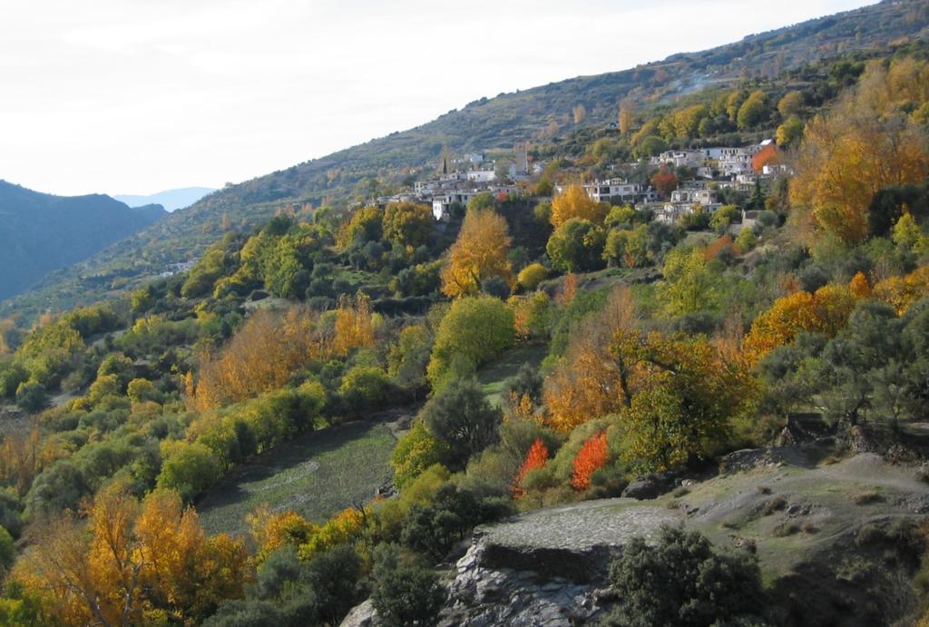 Ferreirola Sierra Y Mar B&B 외부 사진