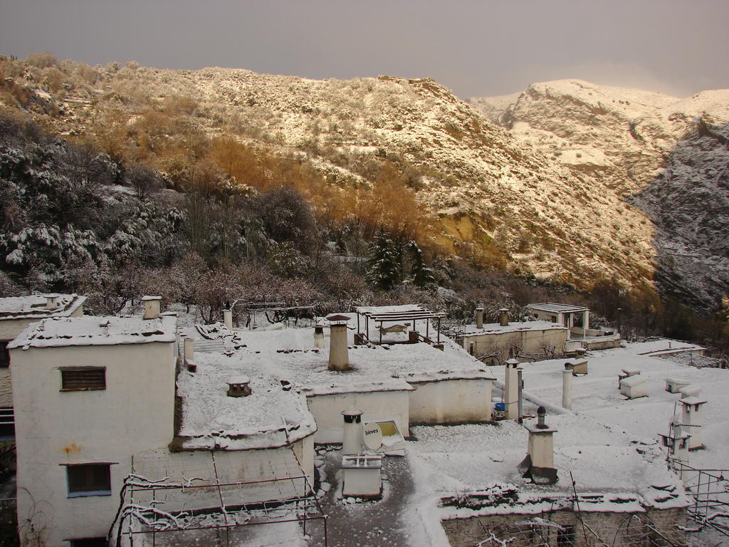 Ferreirola Sierra Y Mar B&B 외부 사진
