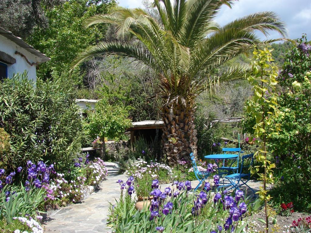 Ferreirola Sierra Y Mar B&B 외부 사진