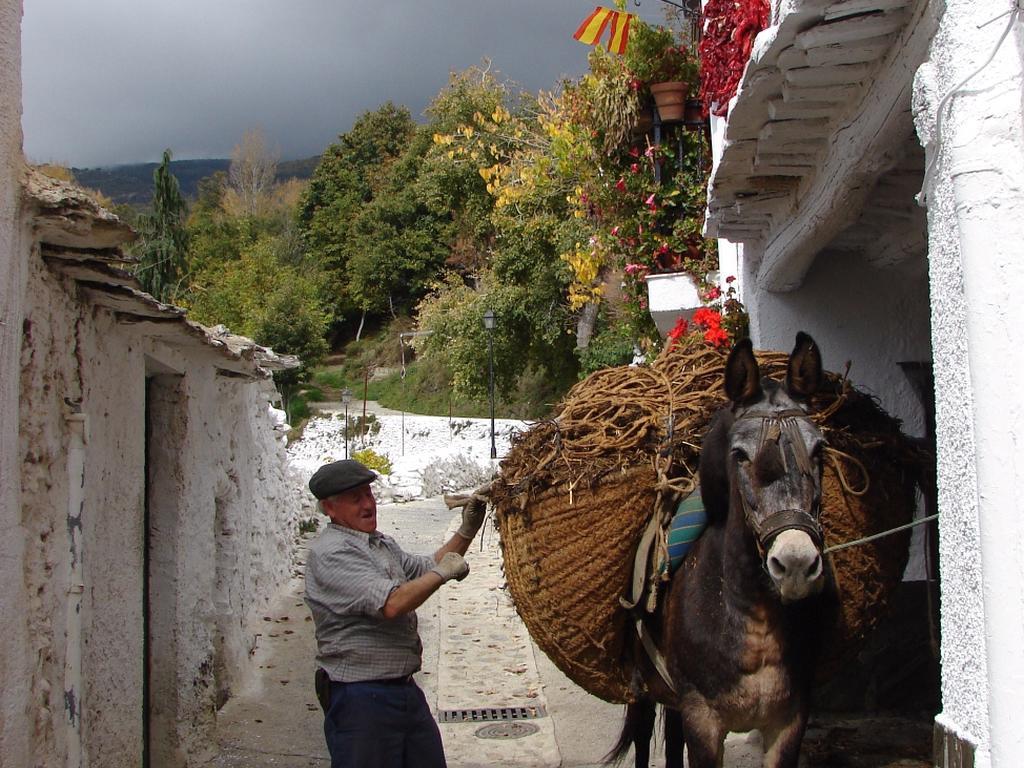 Ferreirola Sierra Y Mar B&B 외부 사진