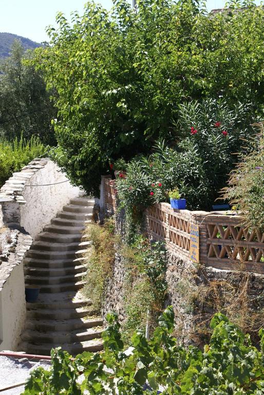 Ferreirola Sierra Y Mar B&B 외부 사진