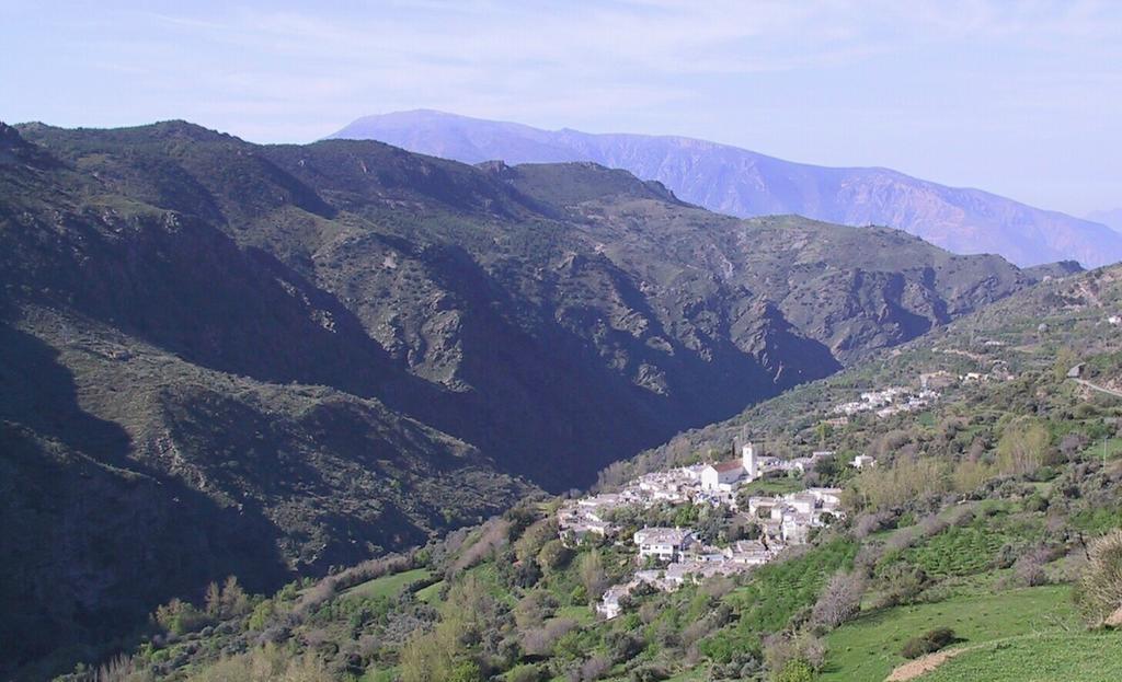 Ferreirola Sierra Y Mar B&B 외부 사진