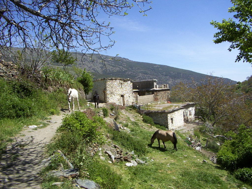 Ferreirola Sierra Y Mar B&B 외부 사진