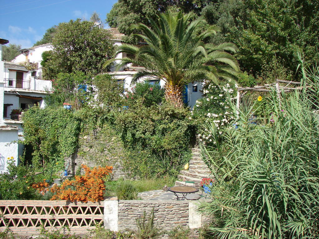 Ferreirola Sierra Y Mar B&B 외부 사진