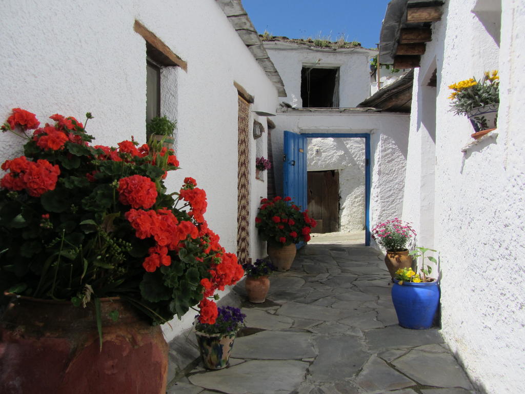 Ferreirola Sierra Y Mar B&B 외부 사진