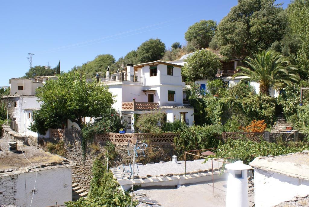 Ferreirola Sierra Y Mar B&B 외부 사진