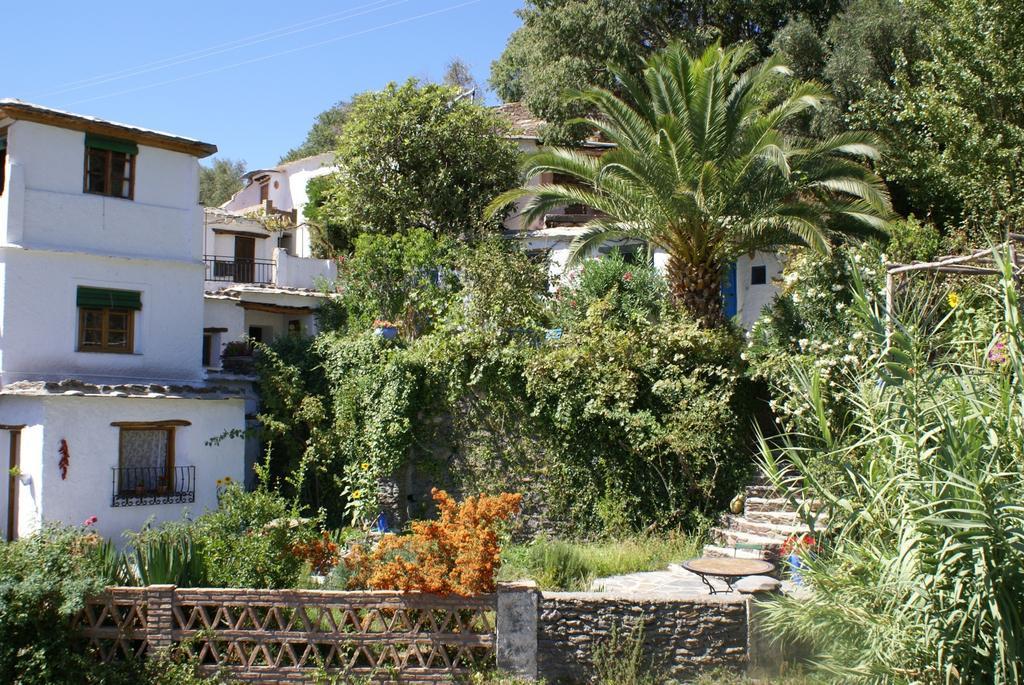 Ferreirola Sierra Y Mar B&B 외부 사진