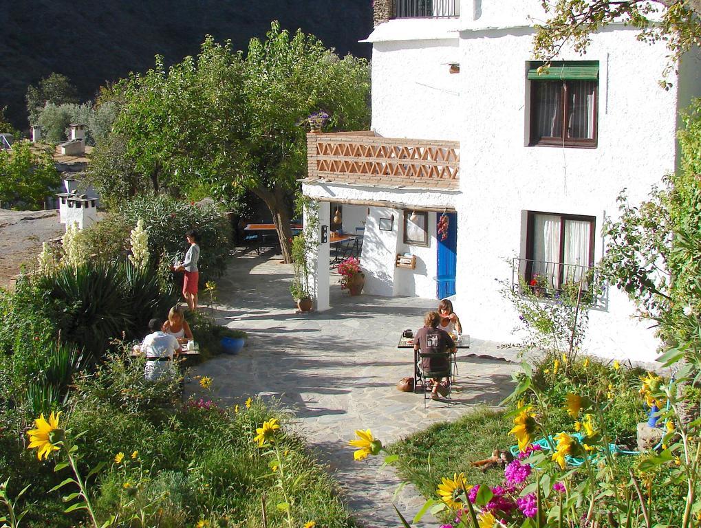 Ferreirola Sierra Y Mar B&B 외부 사진