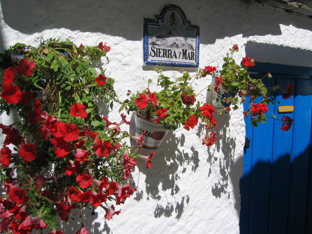 Ferreirola Sierra Y Mar B&B 외부 사진